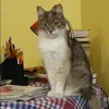 Отзыв от Полина Симонова